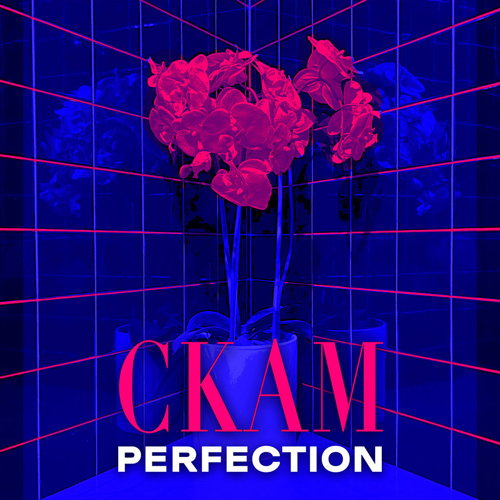 CKAM - Perfection